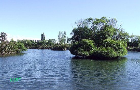 Styx Mill Conservation Reserve